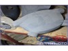 Kia Rio Çıkma Airbag