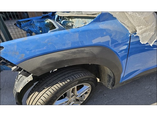 Hyundai Kona Çıkma Dodik
