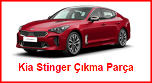 Kia Stinger Çıkma Parça